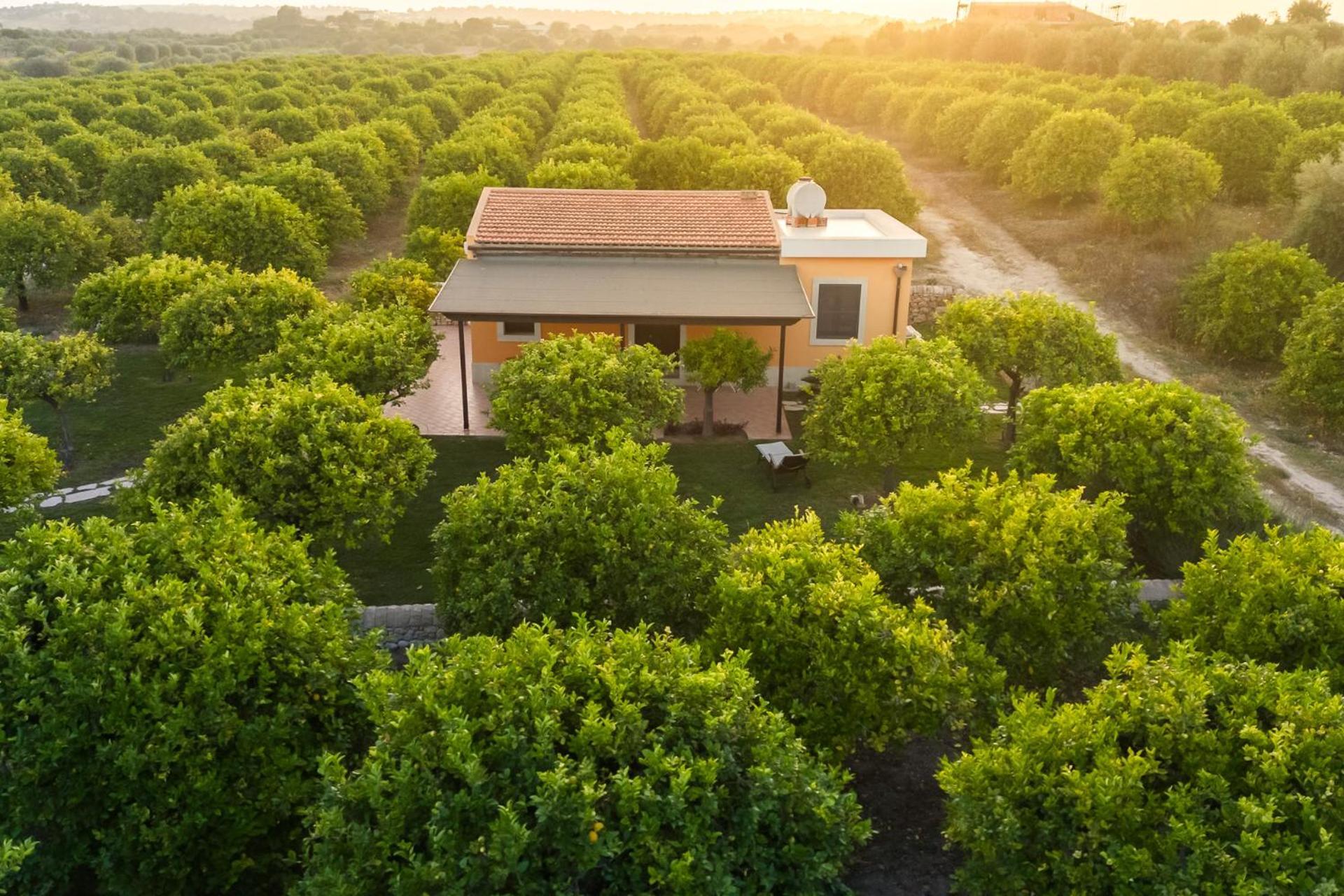 Fiore Di Vendicari B&B - Sicilian Charme, Lemon Grove And Sea Noto Ngoại thất bức ảnh